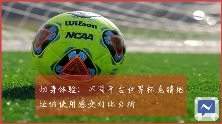 切身体验：不同平台世界杯竞猜地址的使用感受对比分析