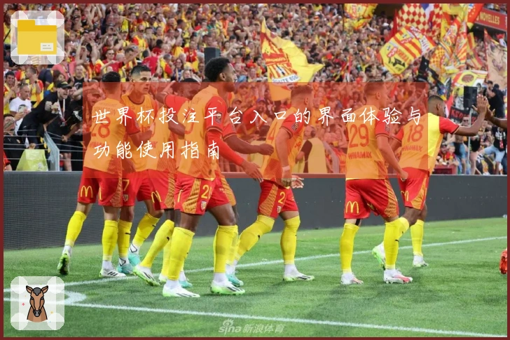 世界杯投注平台入口的界面体验与功能使用指南