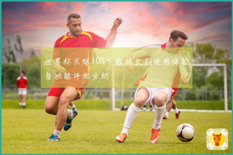 世界杯买球iOS下载的长期使用体验与功能评测分析