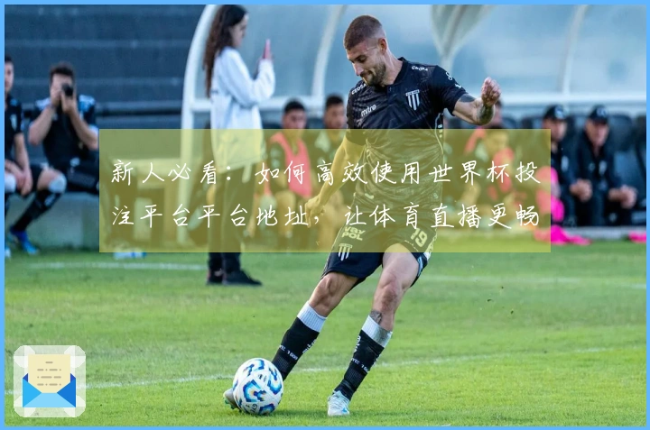 新人必看：如何高效使用世界杯投注平台平台地址，让体育直播更畅快