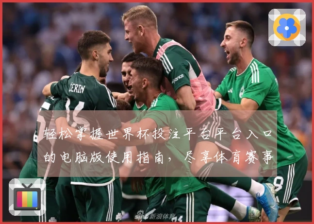 轻松掌握世界杯投注平台平台入口的电脑版使用指南，尽享体育赛事直播体验