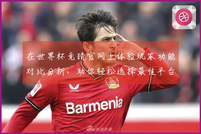 在世界杯竞猜官网上体验玩家功能对比分析，助你轻松选择最佳平台