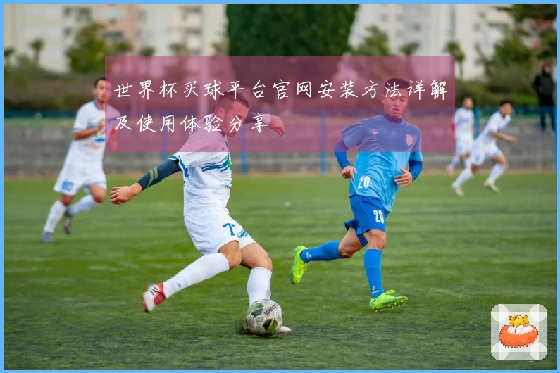 世界杯买球平台官网安装方法详解及使用体验分享