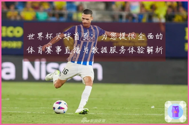 世界杯买球首页：为您提供全面的体育赛事直播与数据服务体验解析