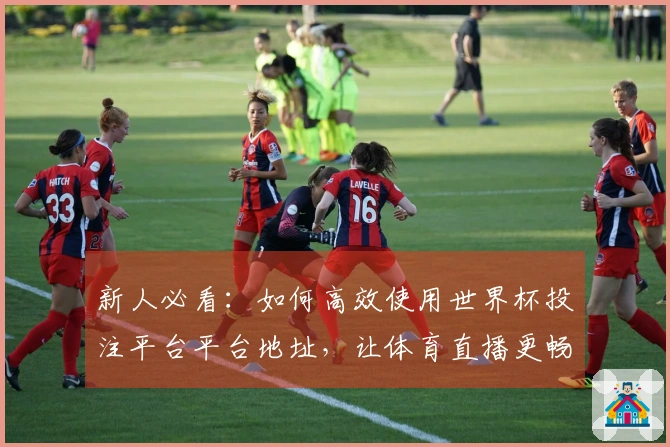 新人必看：如何高效使用世界杯投注平台平台地址，让体育直播更畅快