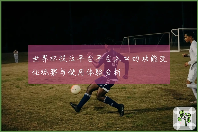 世界杯投注平台平台入口的功能变化观察与使用体验分析
