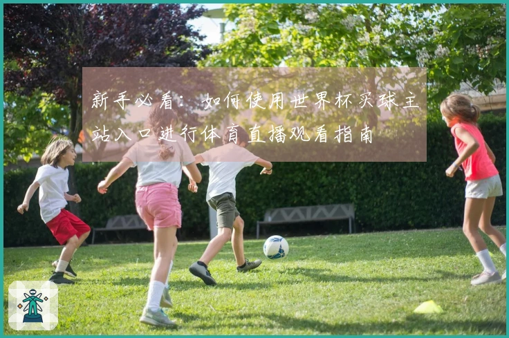 新手必看：如何使用世界杯买球主站入口进行体育直播观看指南